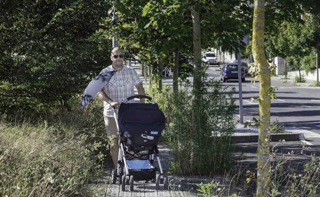 Los vecinos tienen serias dificultades para transitar por las aceras, debido a la ausencia de limpieza y mantenimiento de las calles