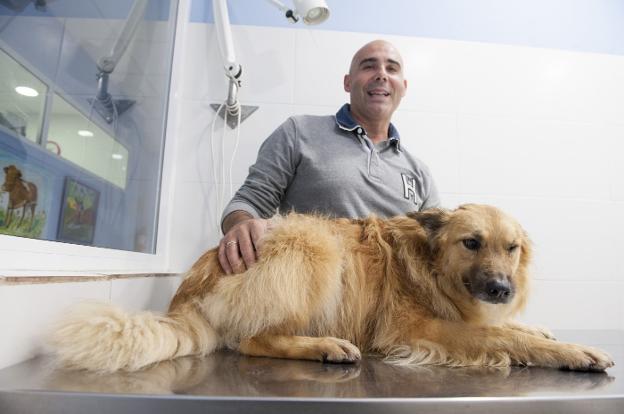 Llen goza de una buena salud y es un perro rehabilitado y muy sociable hasta en la mesa del veterinario./Daniel Pedriza