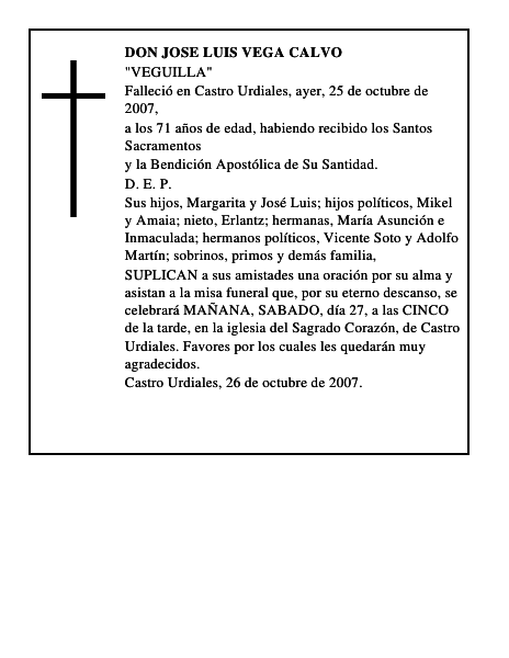 DON JOSE LUIS VEGA CALVO