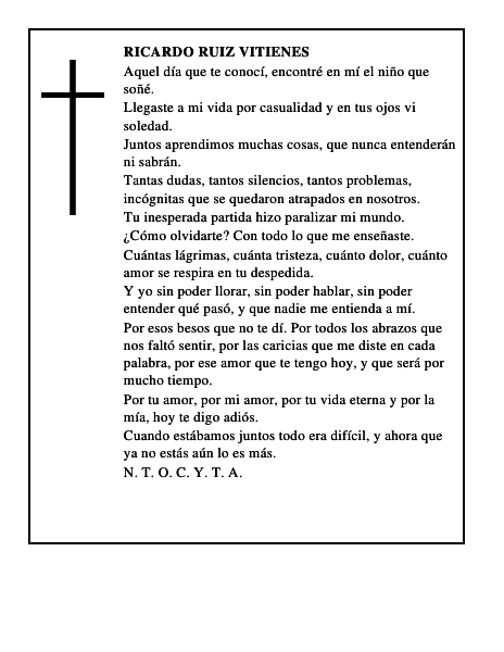 RICARDO RUIZ VITIENES