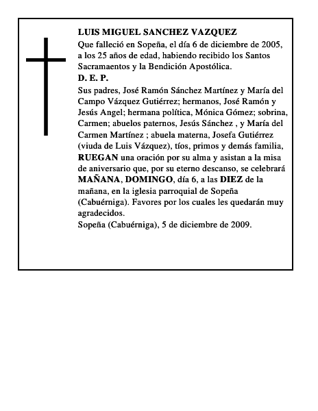 LUIS MIGUEL SANCHEZ VAZQUEZ