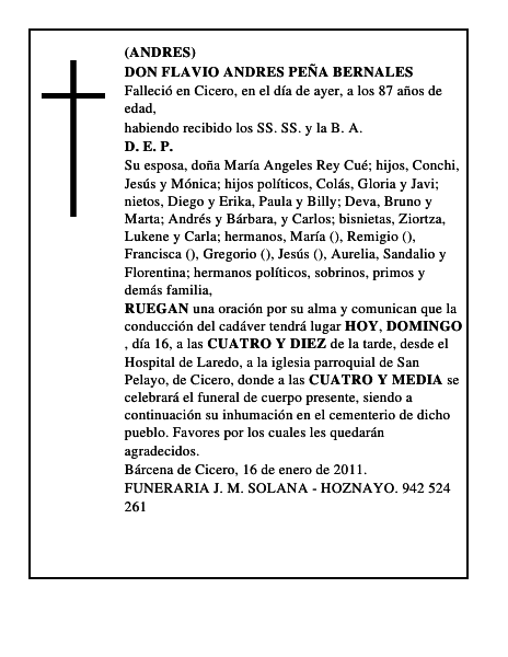 DON FLAVIO ANDRES PEÑA BERNALES