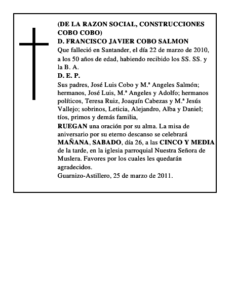 D. FRANCISCO JAVIER COBO SALMON