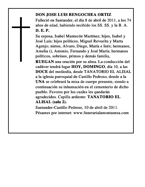 DON JOSE LUIS BENGOCHEA ORTIZ