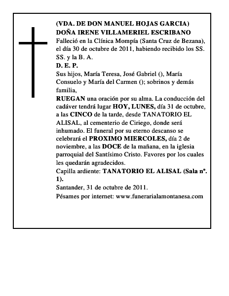 DOÑA IRENE VILLAMERIEL ESCRIBANO