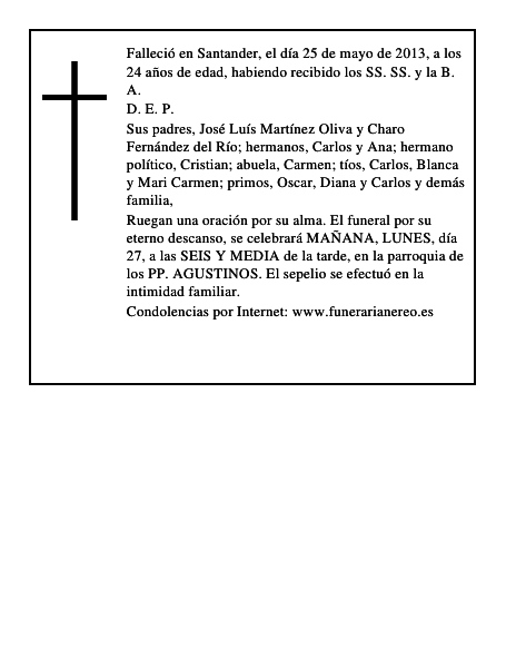 Luis Martinez Fernandez