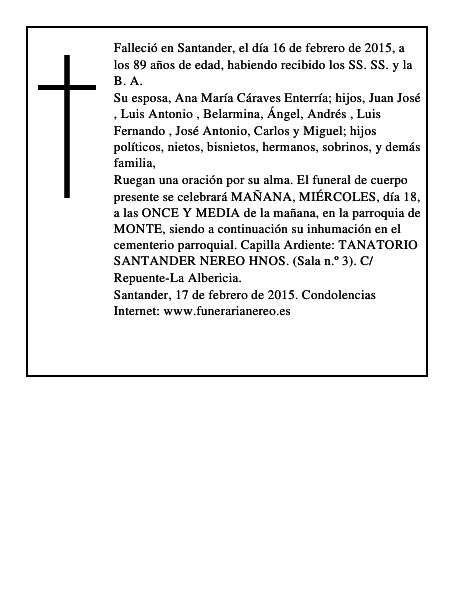 LUIS ANGEL MIER FERNANDER