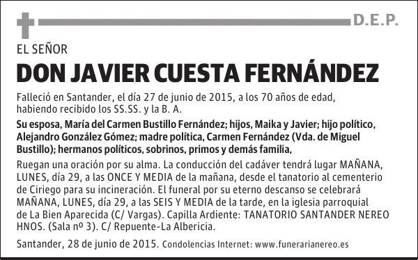 JAVIER CUESTA FERNANDEZ