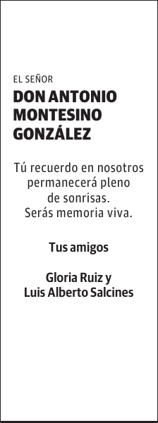 Antonio Montesino González