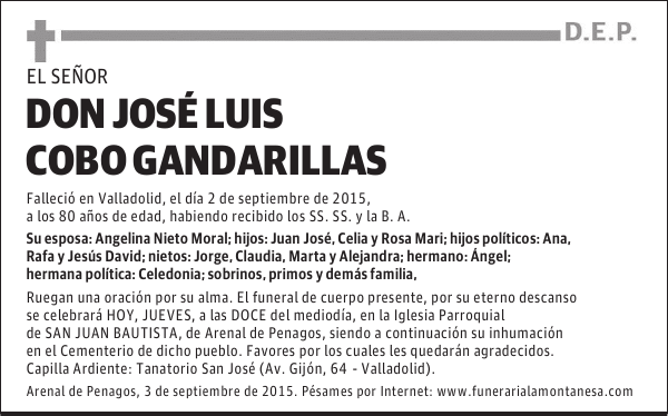 Jose Luis Cobo Gandarillas