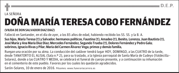 María Teresa Cobo Fernández