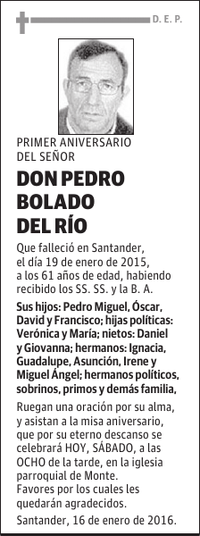 Pedro Bolado del Rio