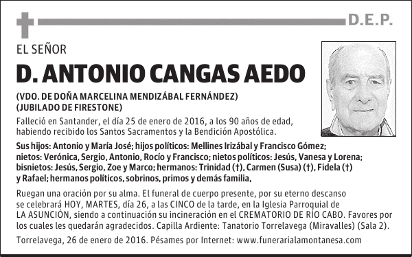 Antonio Cangas Aedo