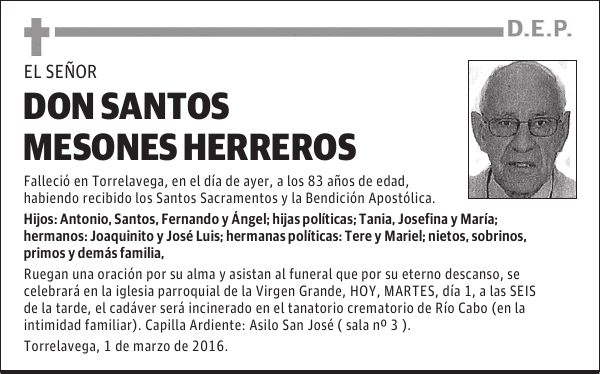 Don Santos Mesones Herreros