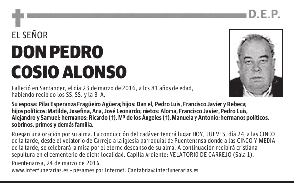 D. PEDRO COSIO ALONSO