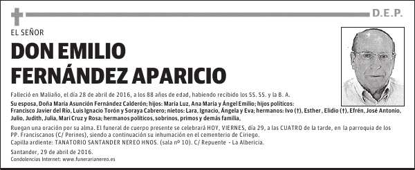 DON EMILIO FERNÁNDEZ APARICIO