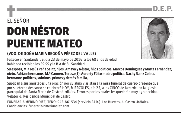 DON NÉSTOR PUENTE