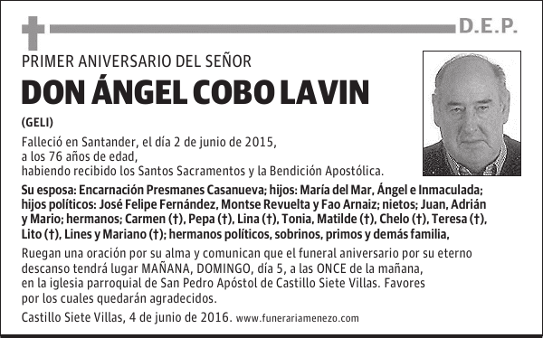 DON ÁNGEL COBO LAVIN