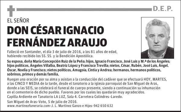 D. CESAR IGNACIO FERNÁNDEZ ARAUJO