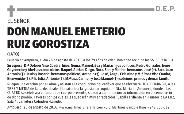 D. MANUEL EMETERIO RUIZ GOROSTIZA