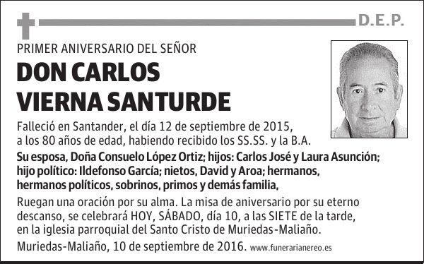 DON CARLOS VIERNA SANTURDE
