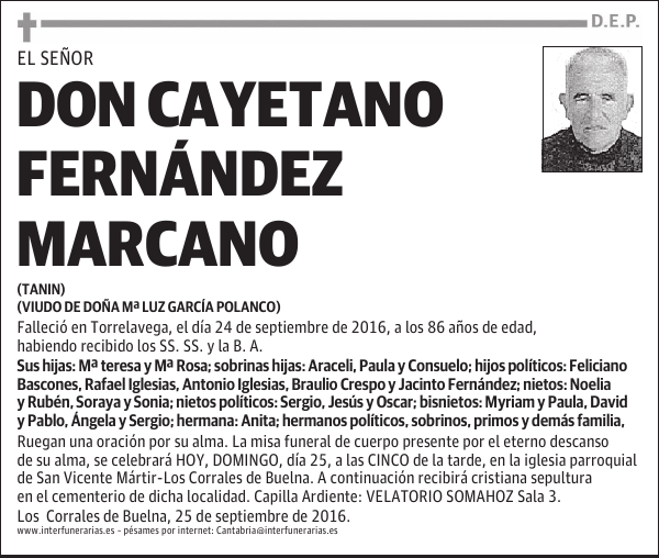 D. CAYETANO FERNÁNDEZ MARCANO