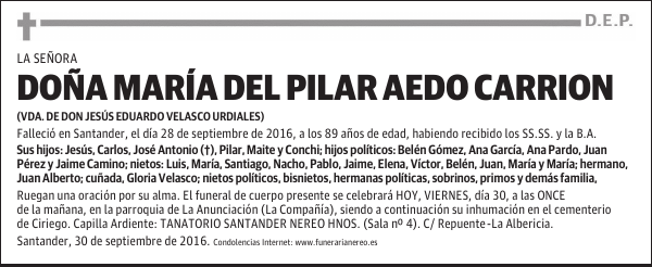 DOÑA MARIA DEL PILAR AEDO CARRION