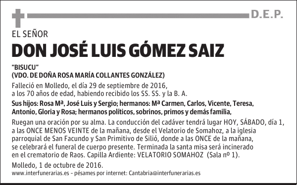 D. JOSE LUIS GOMEZ SAIZ