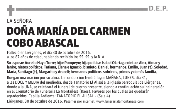 DOÑA MARÍA DEL CARMEN COBO ABASCAL
