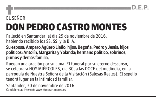DON PEDRO CASTRO MONTES