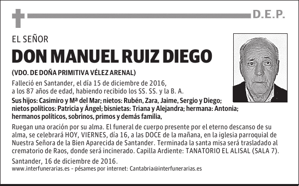 D. MANUEL RUIZ DIEGO