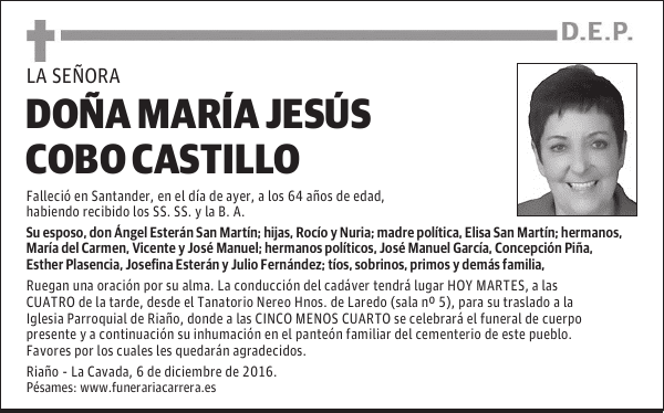 DOÑA MARÍA JESÚS COBO CASTILLO