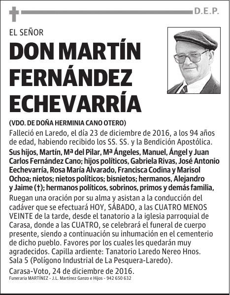 D. MARTÍN FERNÁNDEZ ECHEVARRÍA