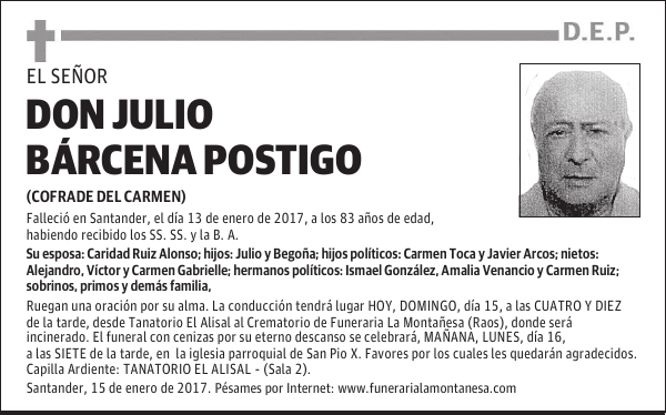 DON JULIO BARCENA POSTIGO