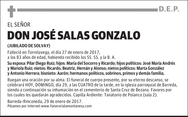 DON JOSÉ SALAS GONZALO