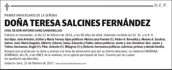 DOÑA TERESA SALCINES FERNANDEZ