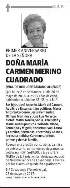 DOÑA Mª CARMEN MERINO CUADRADO