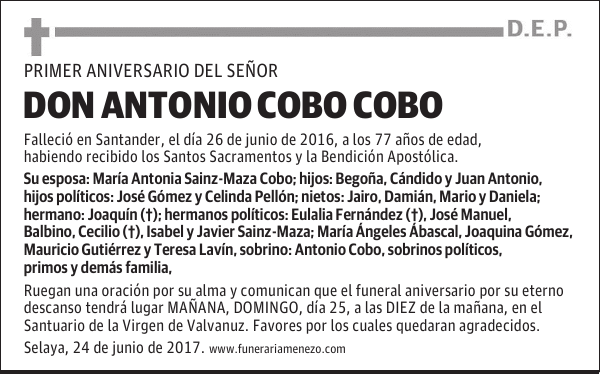 DON ANTONIO COBO COBO