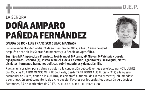 DOÑA AMPARO PAÑEDA FERNANDEZ