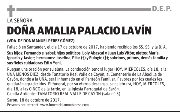 DOÑA AMALIA PALACIO LAVÍN