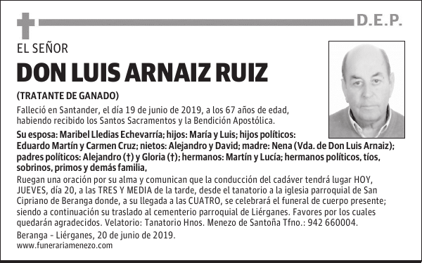 DON LUIS ARNAIZ RUIZ