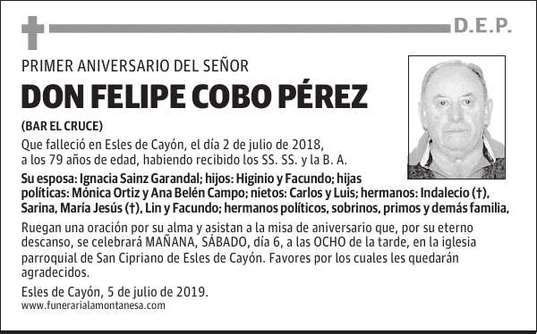 DON FELIPE COBO PÉREZ