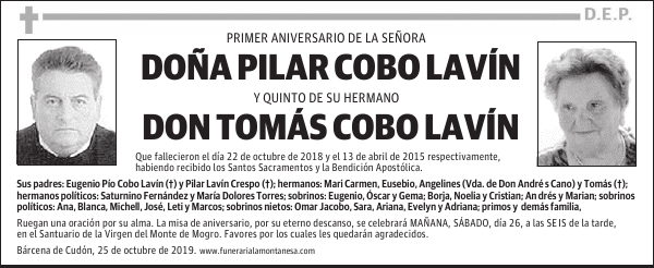DOÑA PILAR COBO LAVÍN
