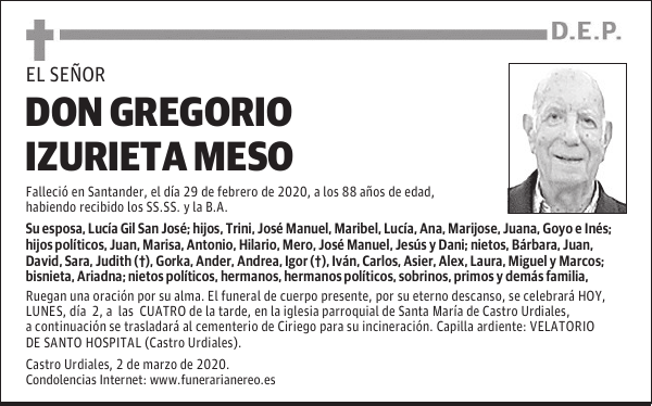 DON GREGORIO IZURIETA MESO