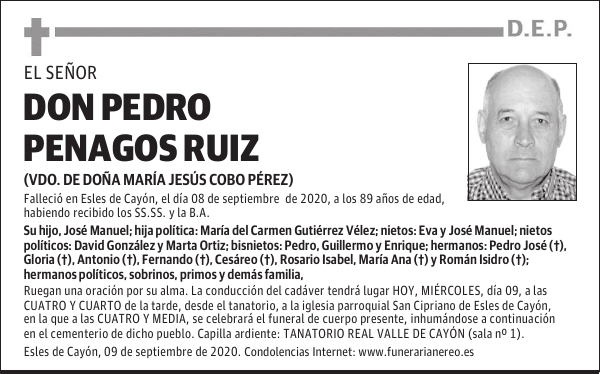 DON PEDRO PENAGOS RUIZ
