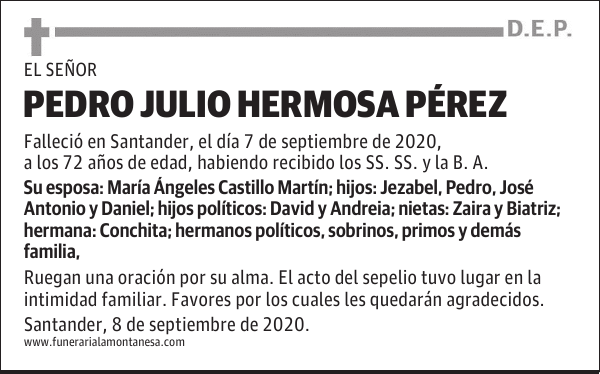 PEDRO JULIO HERMOSA PÉREZ
