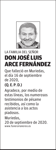 DON JOSÉ LUIS ARCE FERNÁNDEZ