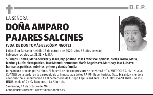 DOÑA AMPARO PAJARES SALCINES