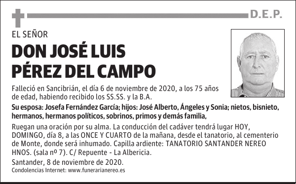 DON JOSÉ LUIS PÉREZ DEL CAMPO