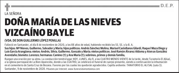 DOÑA MARÍA DE LAS NIEVES VIZCAÍNO BAYLE